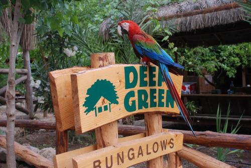  Olympos Deep Green Bungalows, Pension in Olympos