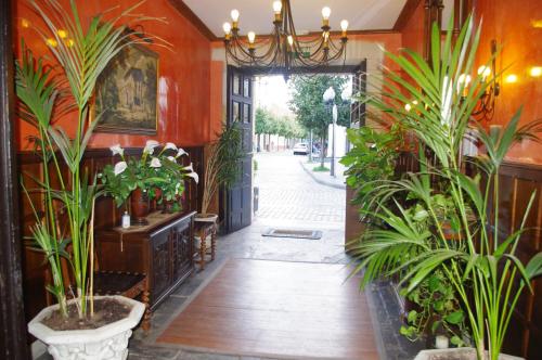 Hotel Carlos I