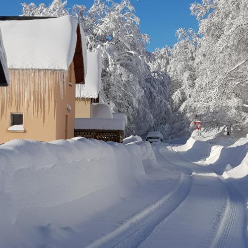 Vistas, AUBRAC brameloup in Laguiole