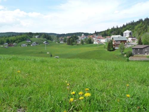 Le TETRAS - Location saisonnière - Lamoura