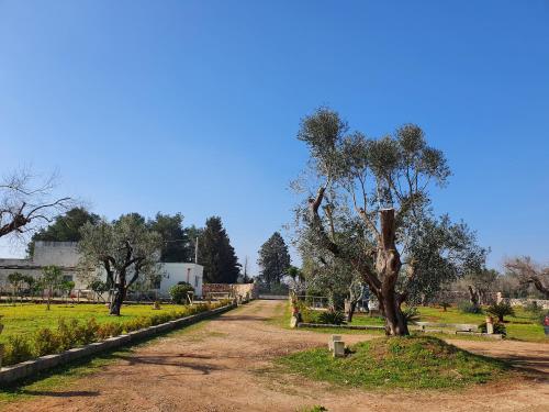 Nicuzza, Martano (photo 6)