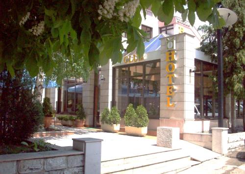 Hotel Dinara - image 8