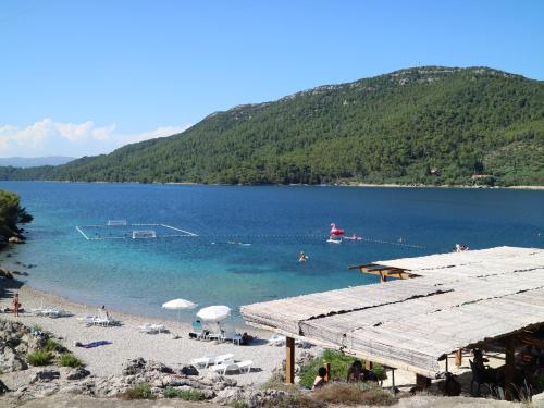 Studio Apartments & Rooms Lela, Sipan Island 2