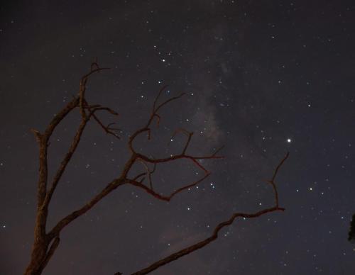 Glamping La Montaña Sagrada, Medellín (fotografie 10)
