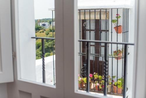 Apartamento Trafalgar By La Juderia De Vejer - Inside a typical Andalusian Casa Patio - image 5