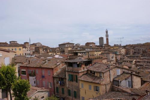 I Tetti di Siena - image 8
