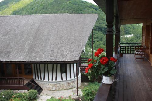 Casa Tisaru