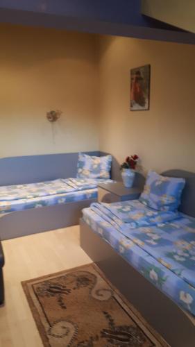 Guest House Blisten, София (фото 6)