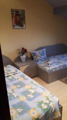 Guest House Blisten, София (фото 5)
