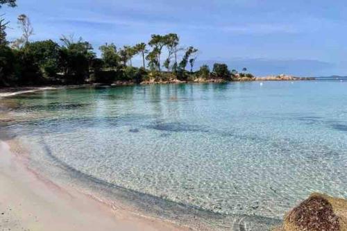 Studio et jardin environ d'ajaccio gîte à louer Fontanaccio