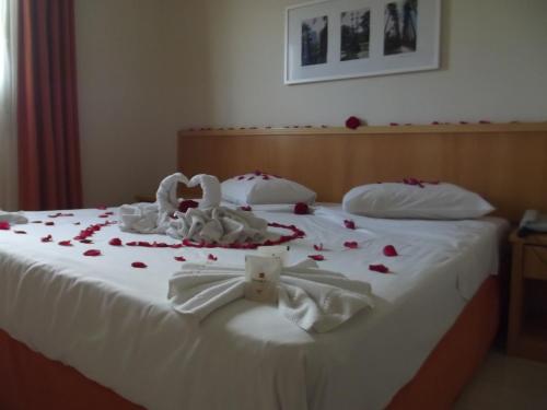 Harbor Self Graciosa Hotel