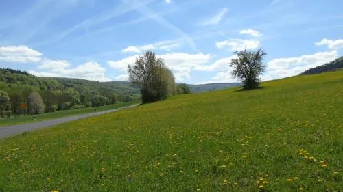 Ferienwohnung Csilla in Unterweid, Deutschland