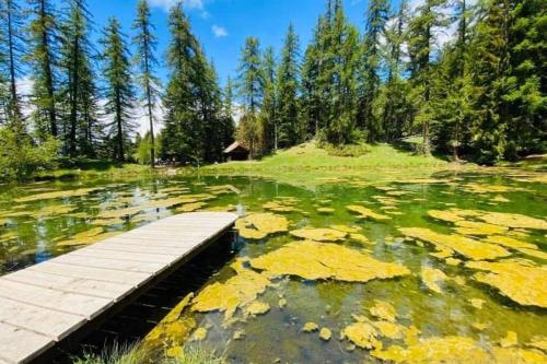 Gîte avec jacuzzi privatif