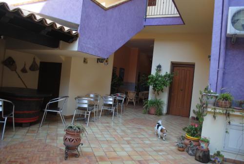 Ippocampo B&B