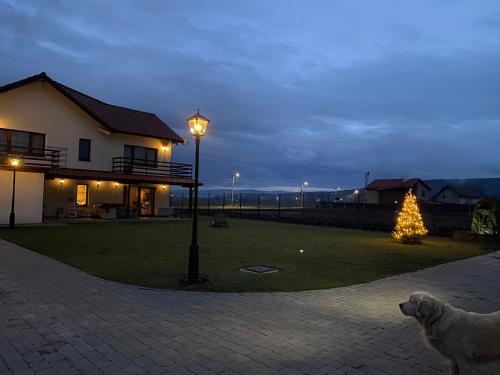 Pensiunea Casa Lupas in Gilau