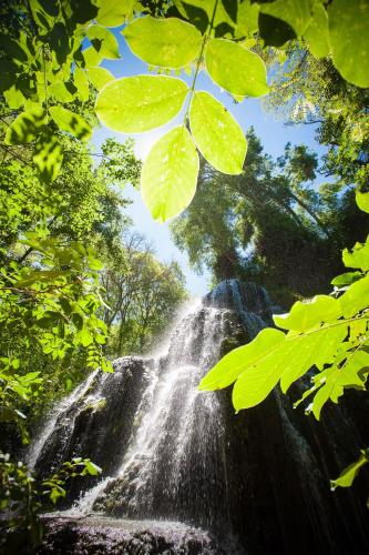 Monasterio De Piedra