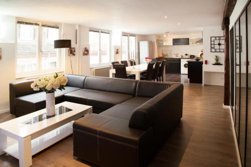Le Corbeau - Grand Appartement Strasbourg Centre, Calme, Strasbourg