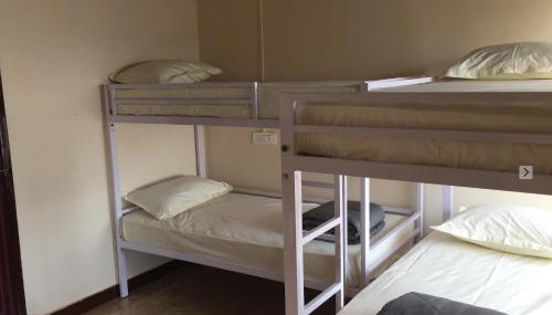 Rambler Backpacker Hostel