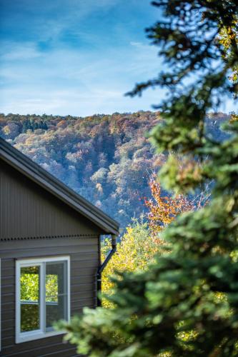 Le Chalet, Vresse-sur-Semois (fotografie 4)