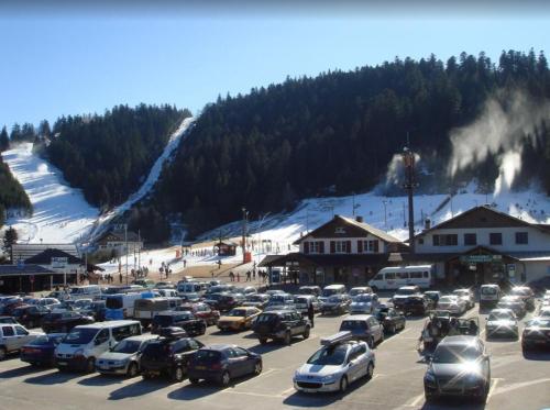 Studio in Gerardmer with wonderful mountain view and furnished terrace - image 3