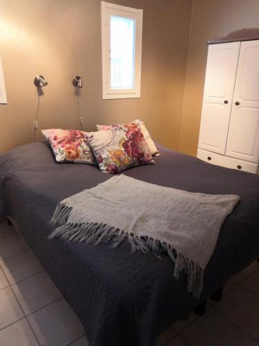 Aurora River Revontuliranta in 索丹克萊