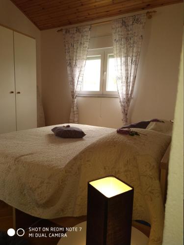 Apartments Pipunic - image 2