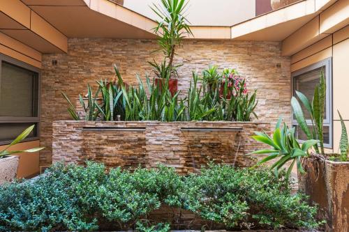 Best Western Plus Camperdown Suites - image 13