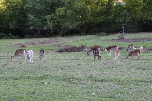 De Oude Meul Country Lodge & Restaurant