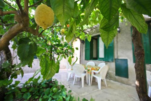 LEO APPARTAMENTI con vista panoramica Room Type - Apartment - Ground Floor