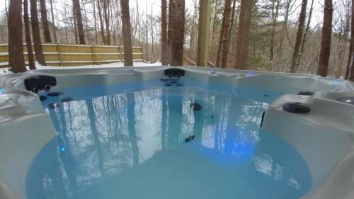 Avenwood Cabins in 查內思維爾 (OH)