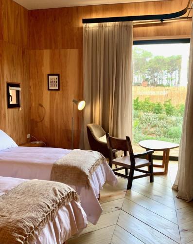 Rizoma in Jose Ignacio