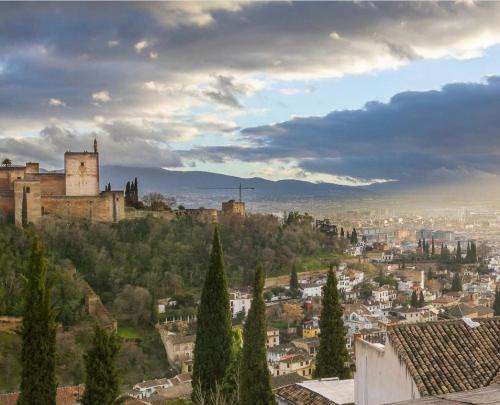 Reina Cristina - image 4