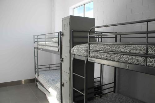 Bed in 6-Bed Dormitory Room room in Quokka Backpackers Hostel Perth - note - Valid passport required to check in