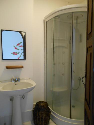 Standard Single Room image 5