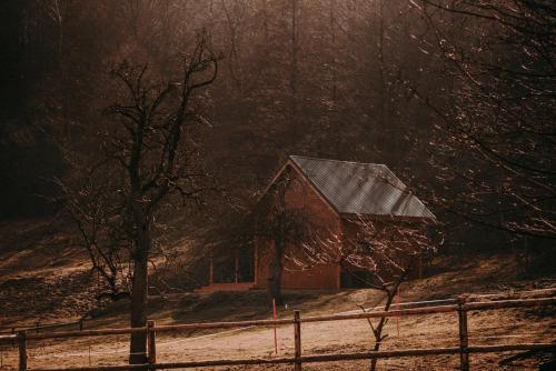 Osada Krasne Noclegi blisko natury - Accommodation - Bukowiec