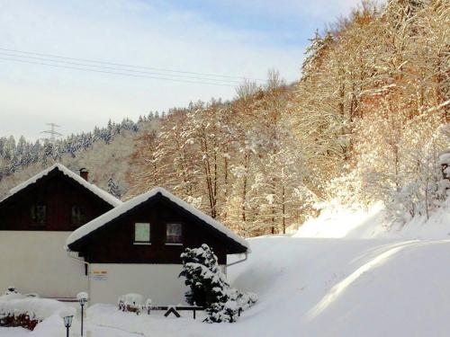 Apartment with forest in Goldisthal Thuringia