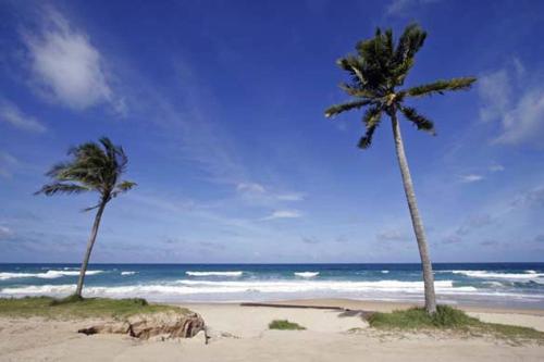 Ocean View 2 Br Apartment Kata Beach