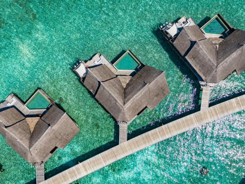 Ocean Suite with Private Pool image 8