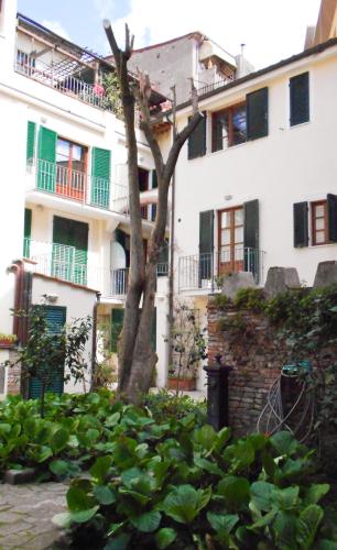 Residence Domus - 정원