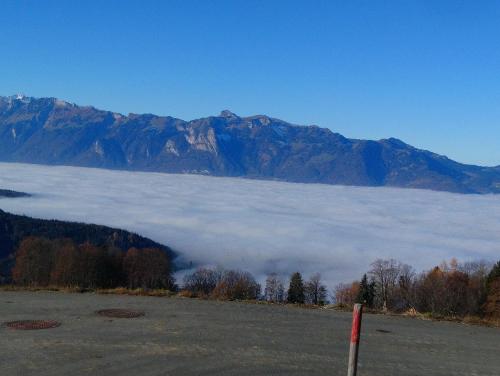 Gasthaus Krone - image 12