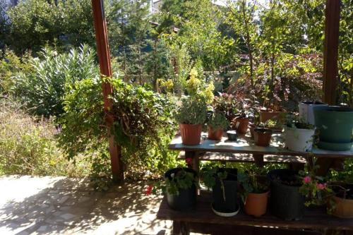 3+1 Guarded Villa, Big Garden, Close to the Beach