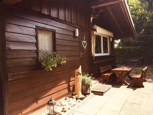 Ferienhaus Bussard in Gammelsbach, Deutschland