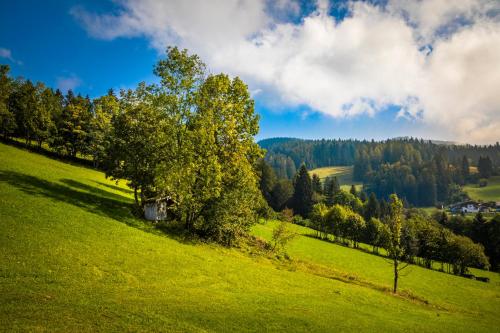 Ferienwohnung Schirla Stub´m