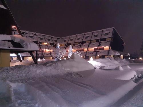 Centro Pineta Family Hotel & Wellness - 전망