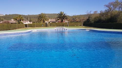 Zwembad, Palmeres in La Torre Vella