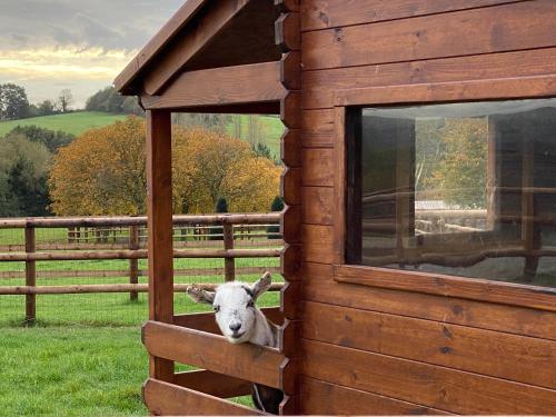 Gîte du Haras de la vallée de REUX