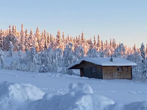 Fjällhalsen Cottages - image 2