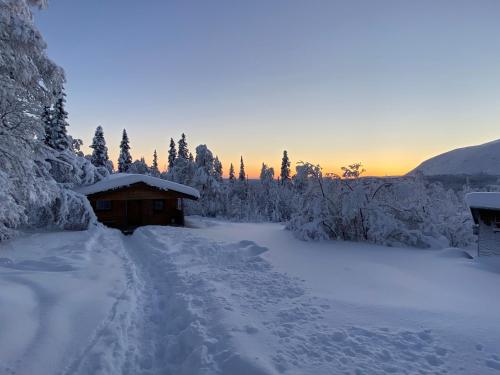 Fjällhalsen Cottages - image 7