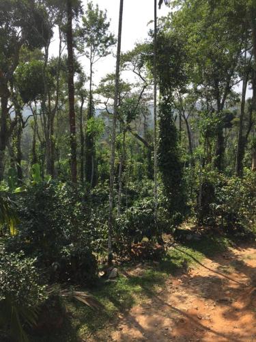 Coorg -Kunji Phad River View Homestay in Coorg