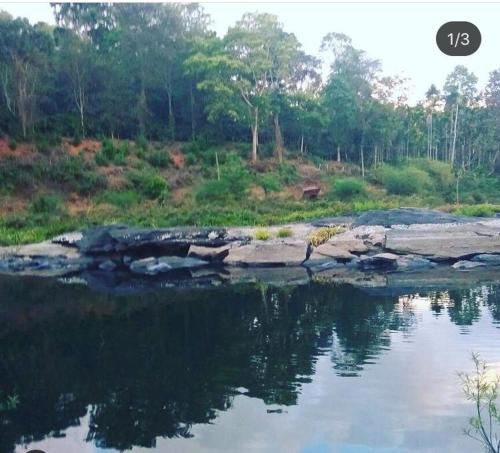 Coorg -Kunji Phad River View Homestay in Coorg